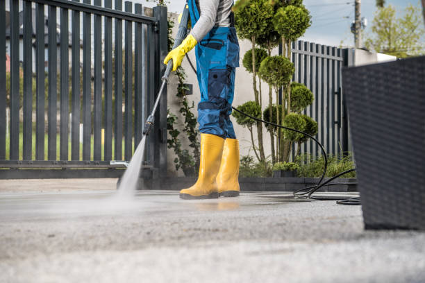 Best Patio and Deck Pressure Washing  in Magnolia, NJ